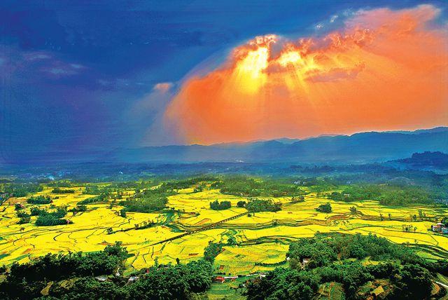 云店街乘智慧农业快车，破数字兴农新局，打通全网智慧农业一张图