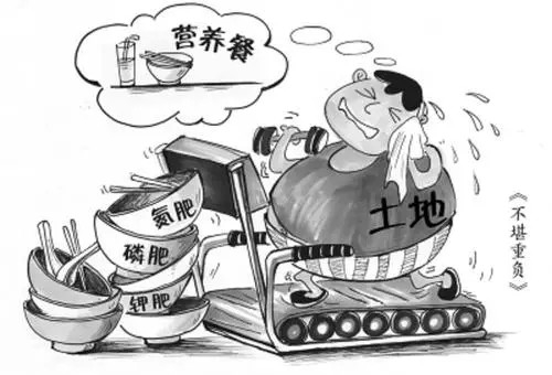 硒对人体有什么作用？种植富硒农产品只需要加入这个让你的菜园富硒含量达到标准！智慧农业