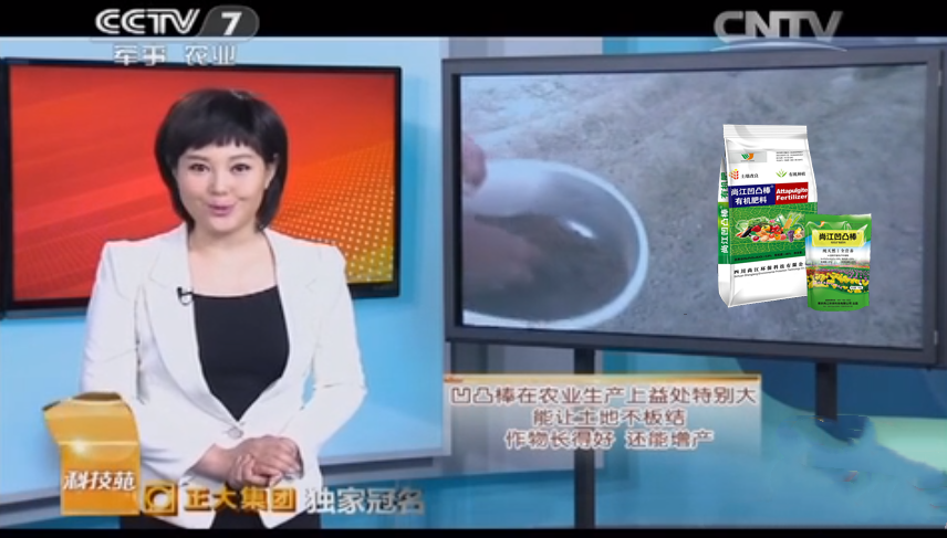 种地包地如何提高产值？CCTV7频道推荐你这样种地实现增产增收增值