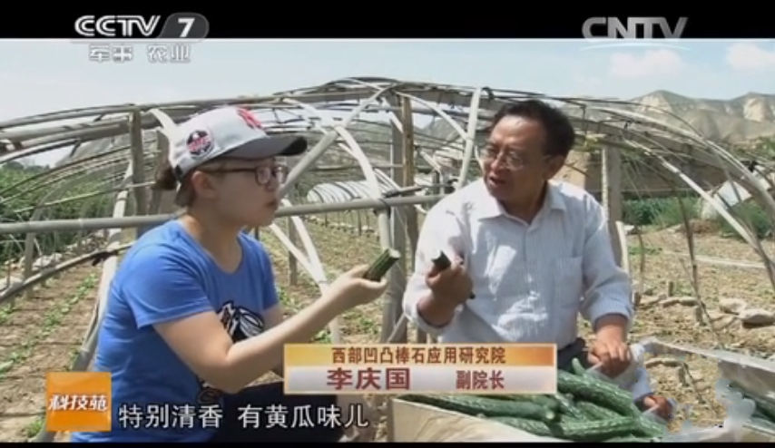 土壤改良常见的三种方法..最无害的方法又有哪些