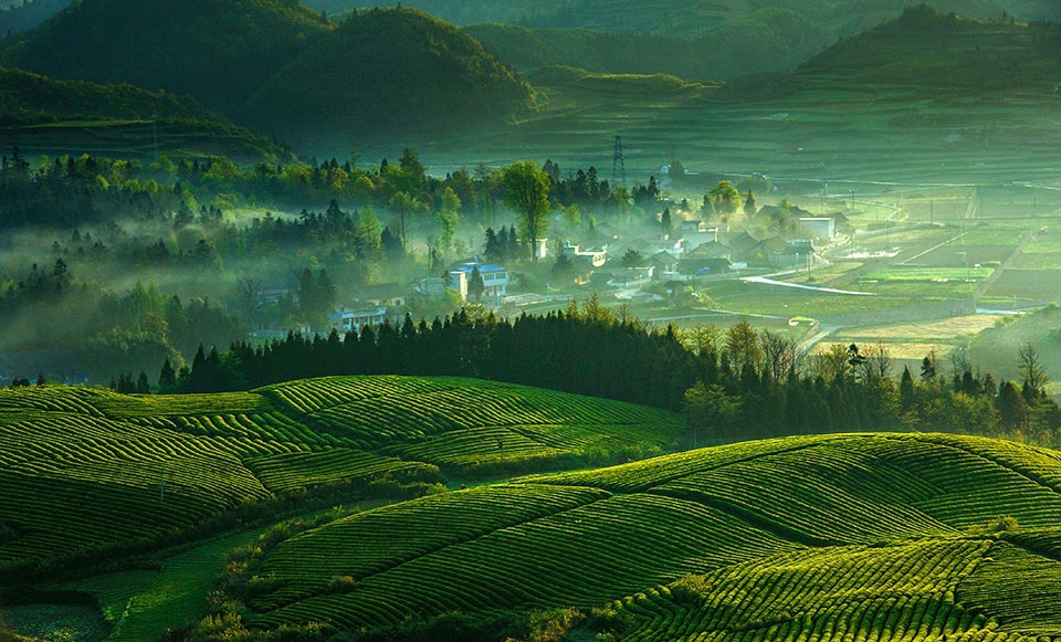 大数据“智慧农业”强力黑手之传感器