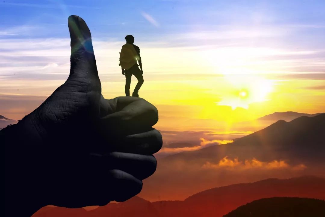 最新优秀农技案例名单已公布,你在其中吗?正在做类似行业?